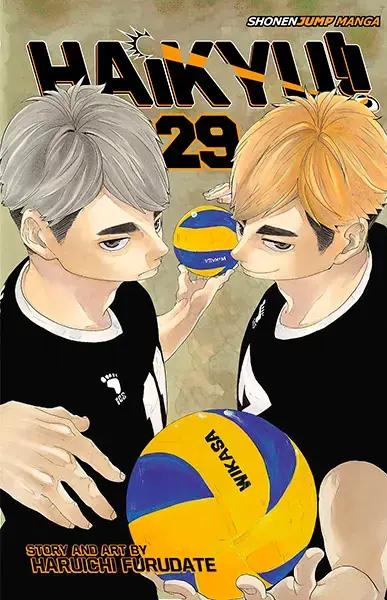Haikyu Vol 29 | Spara mer