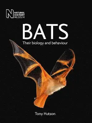 Bats - Professionell kvalitet