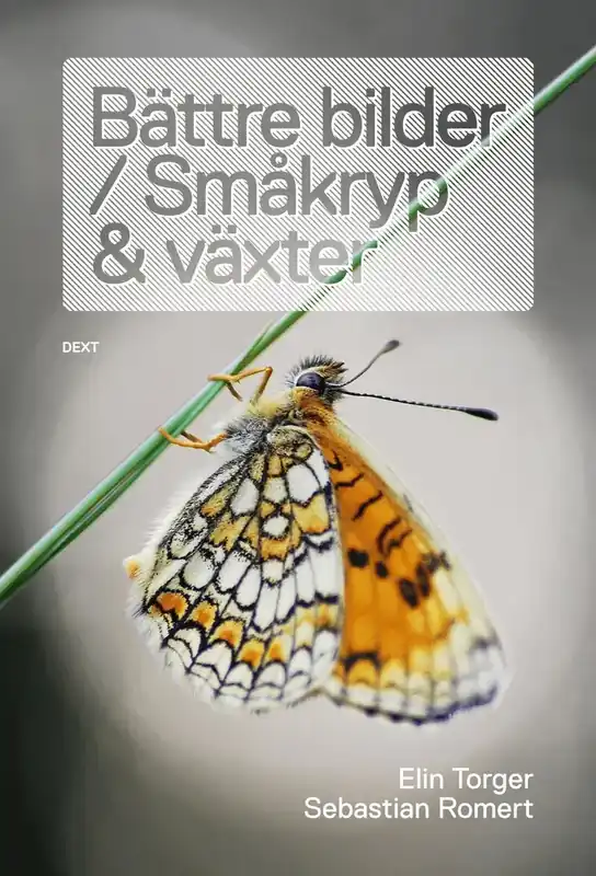 Rea | Bättre bilder / Småkryp och växter