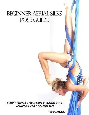 Beginner Aerial Silks Pose Guide - Expressfrakt