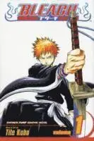Bleach, Vol. 1 - Populär