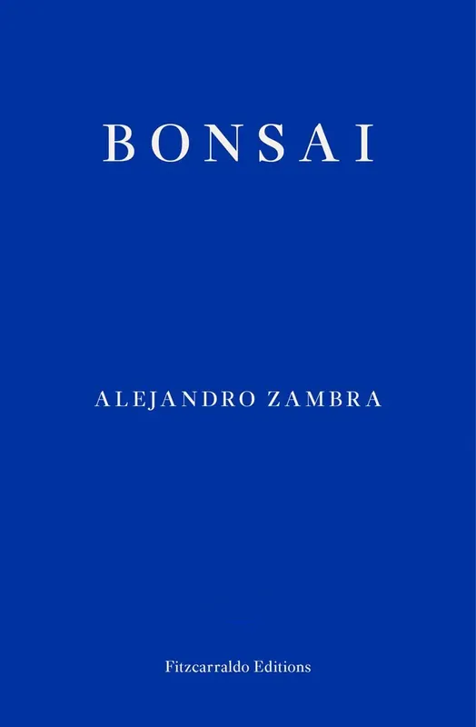 Nedsatt pris - Bonsai