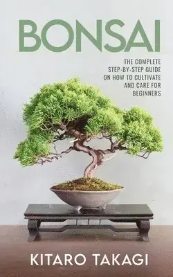Outlet - Bonsai