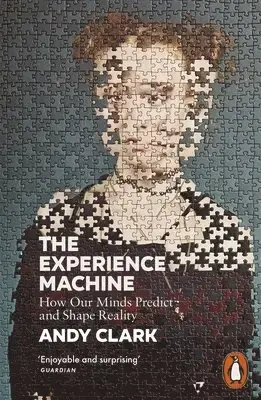Experience Machine - Precis tillagt