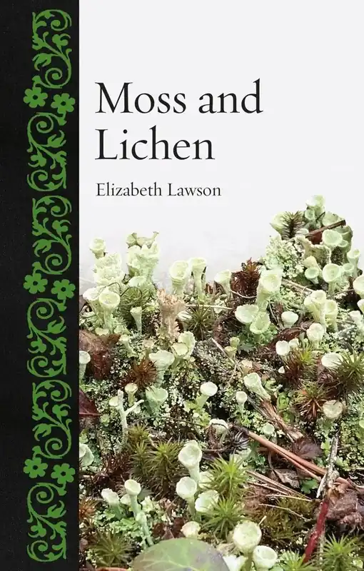 Moss and Lichen | Nytt hos oss