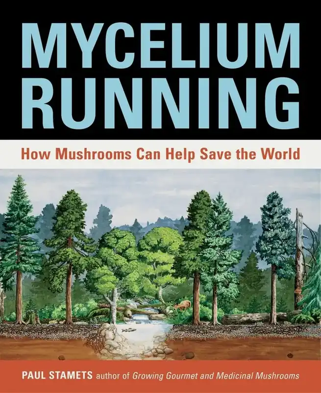 Enkel beställning | Mycelium Running