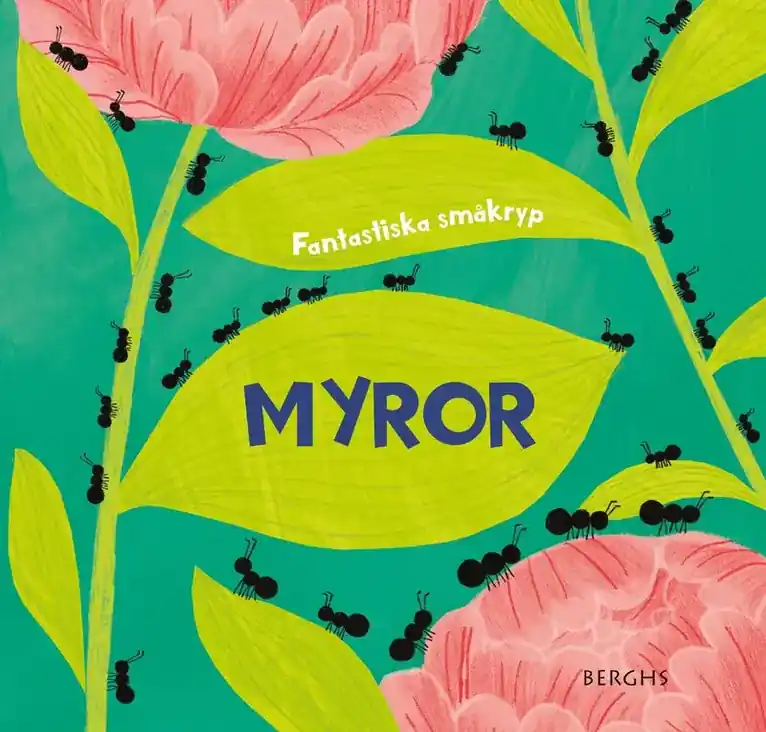 Myror - Rabatt