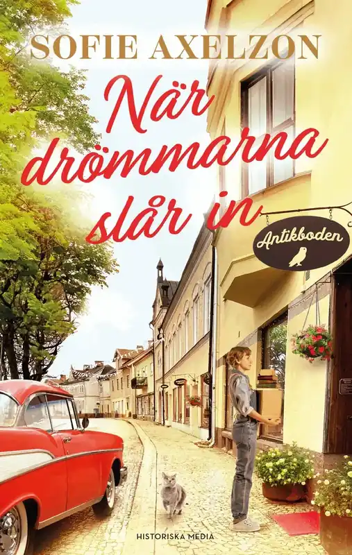 När drömmarna slår in - Spara nu