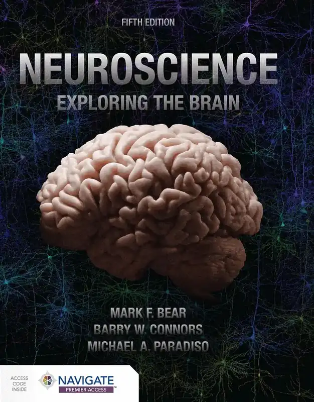 Specialpris - Neuroscience Exploring the Brain