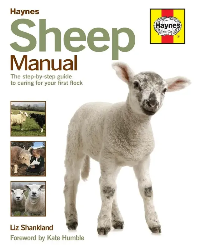 Sheep Manual | Premiumkvalitet