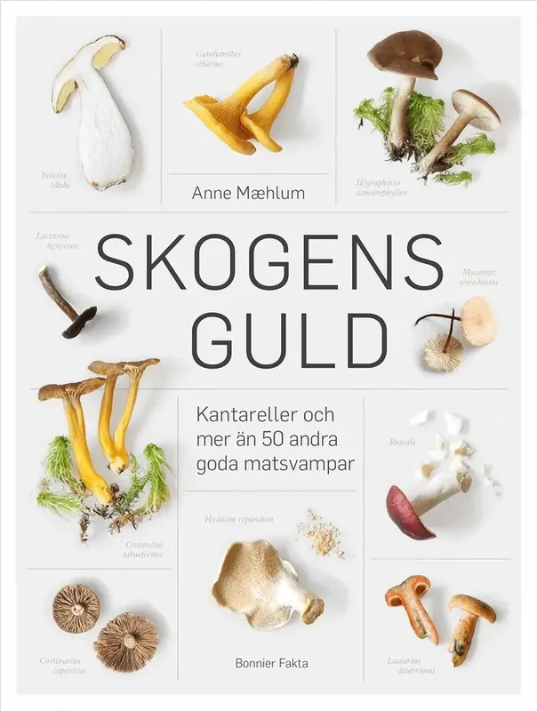 Säker betalning | Skogens guld